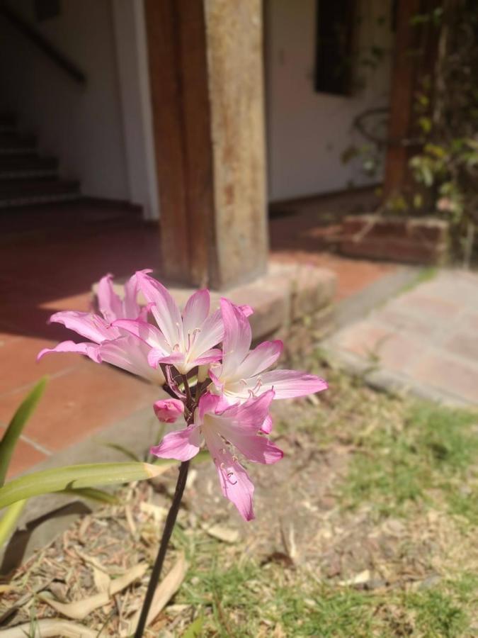 Hotel El Patio De Monterrey ワラス エクステリア 写真
